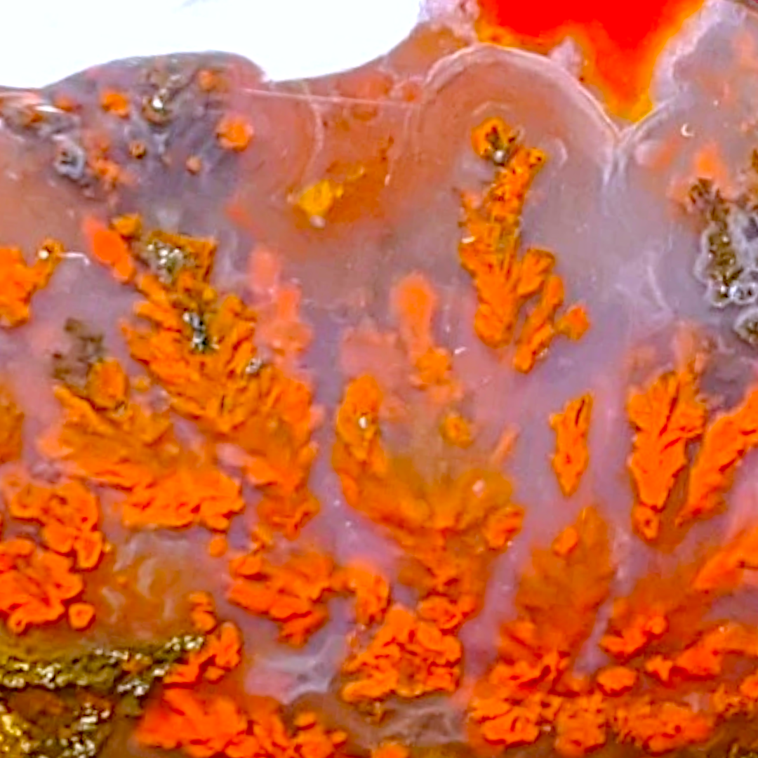 PLUME AGATE