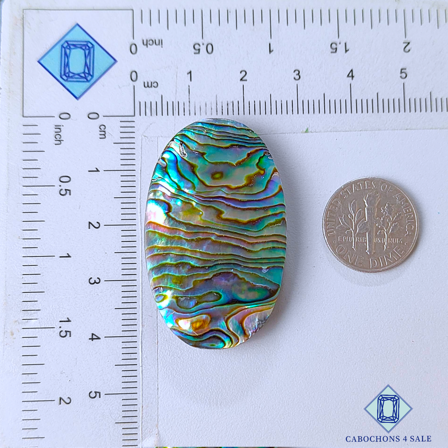 Cabujones ovalados de concha de abulón