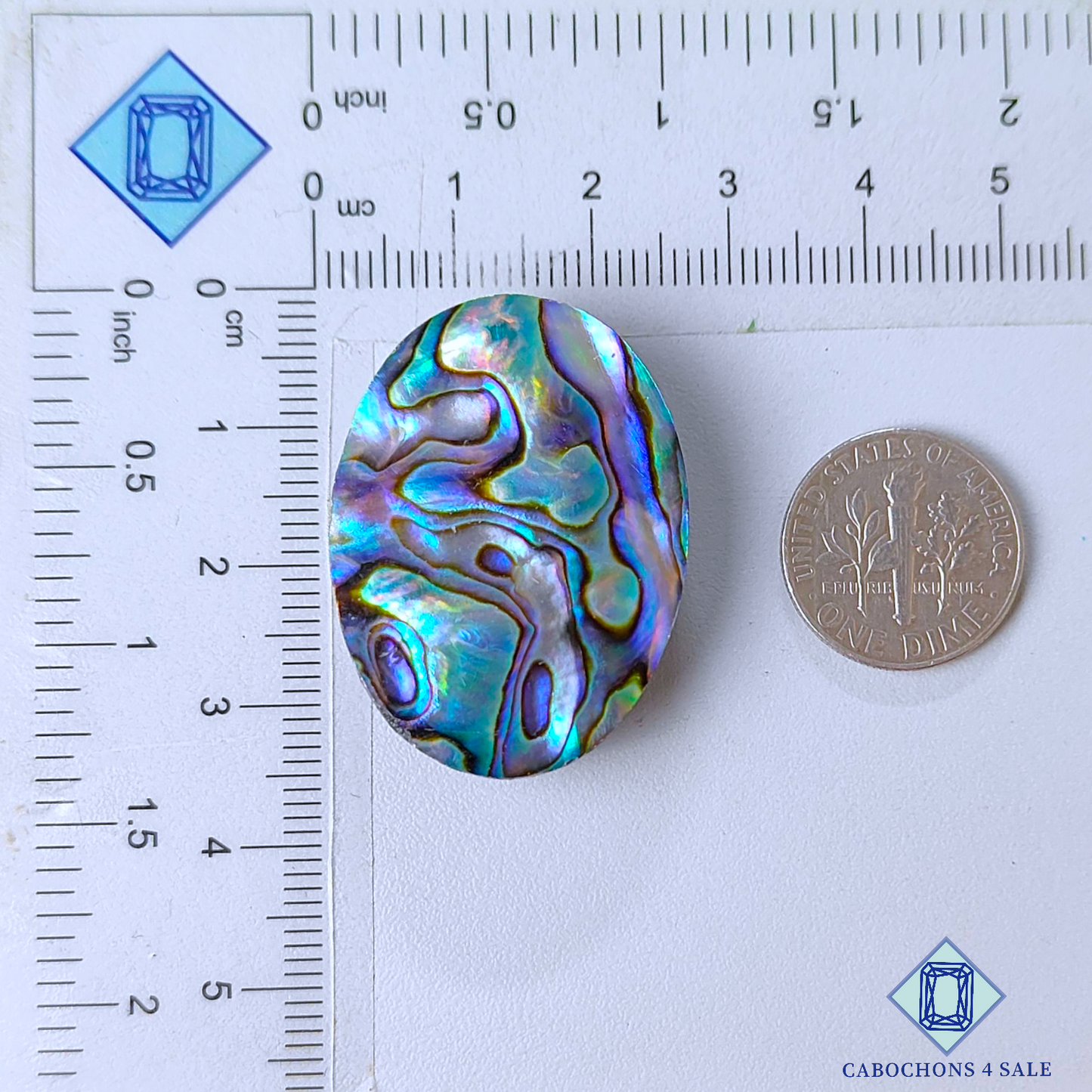 Cabujones ovalados de concha de abulón