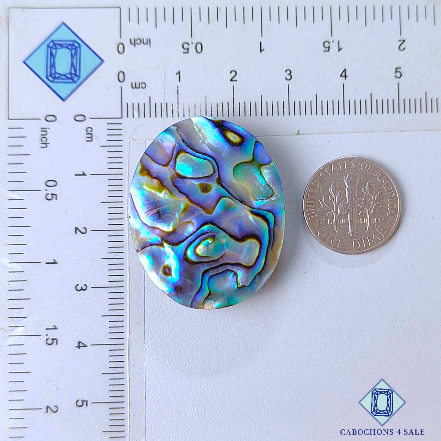 Cabujones ovalados de concha de abulón