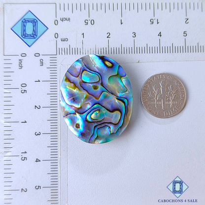 Cabujones ovalados de concha de abulón