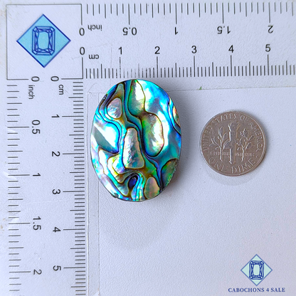 Cabujones ovalados de concha de abulón