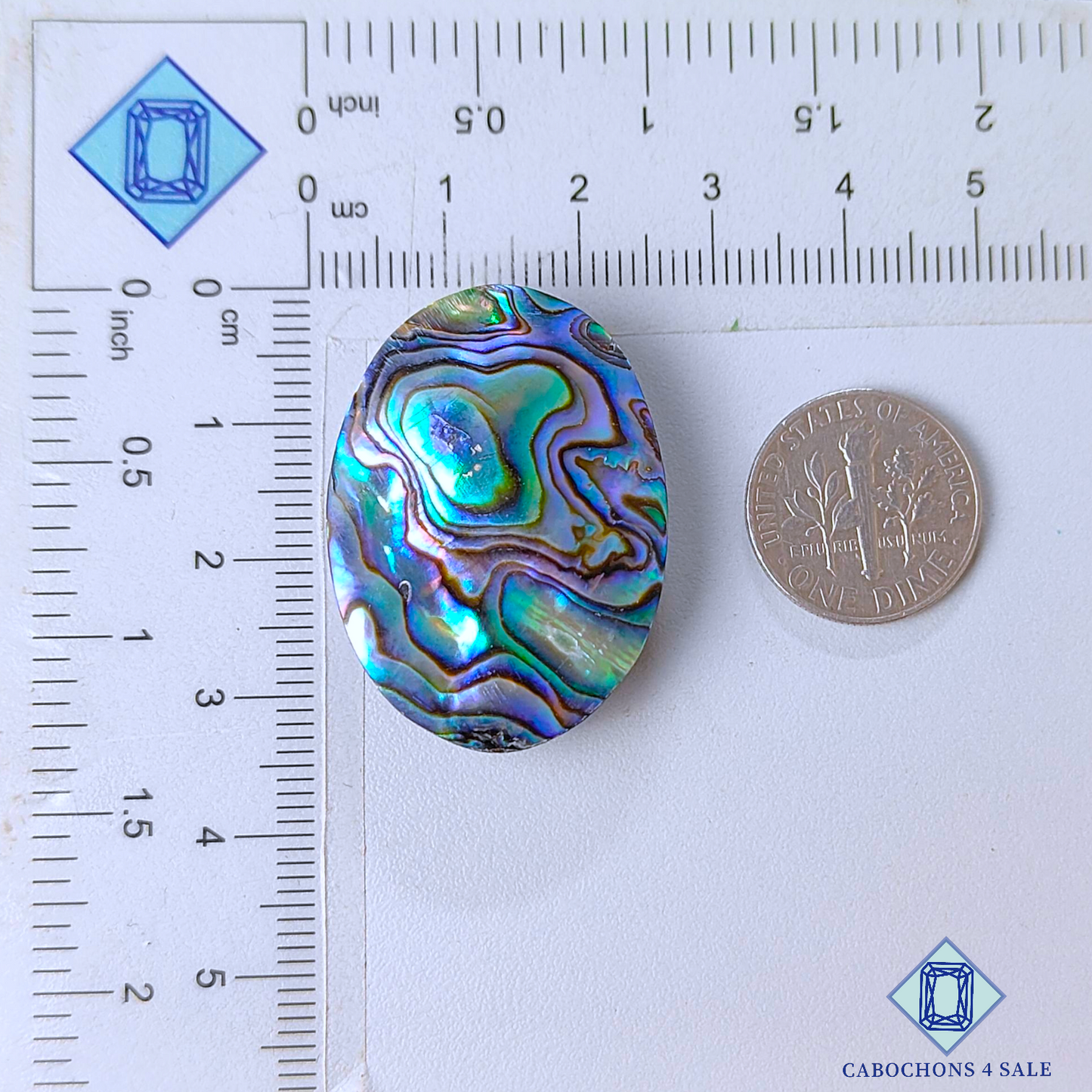 Cabujones ovalados de concha de abulón