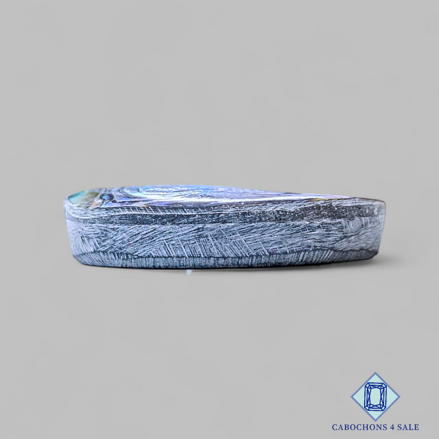 Cabujones ovalados de concha de abulón