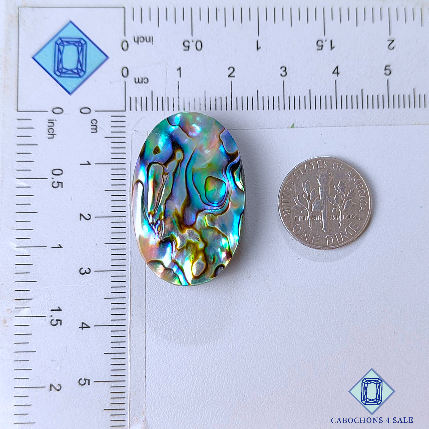 Cabujones ovalados de concha de abulón