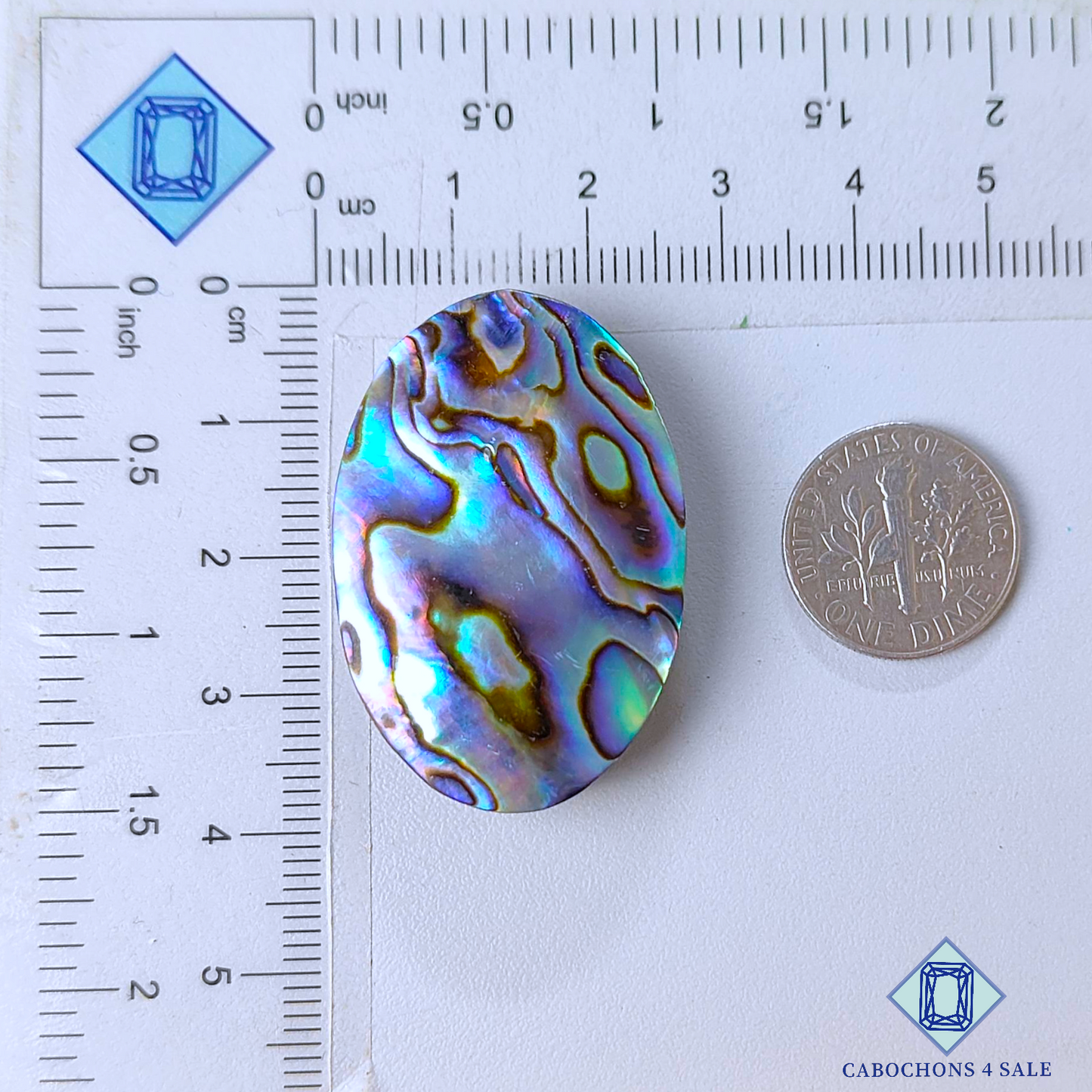 Cabujones ovalados de concha de abulón