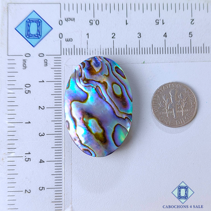 Cabujones ovalados de concha de abulón