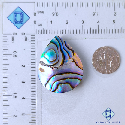 Abalone Shell Pear Cabochons