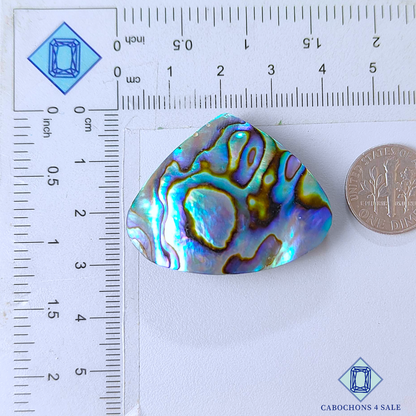 Cabujones de concha de abulón en forma de pera