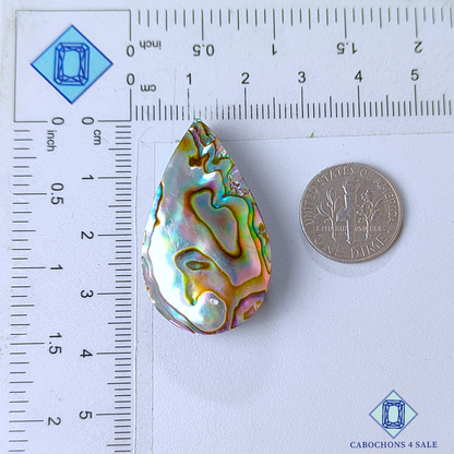 Abalone Shell Pear Cabochons