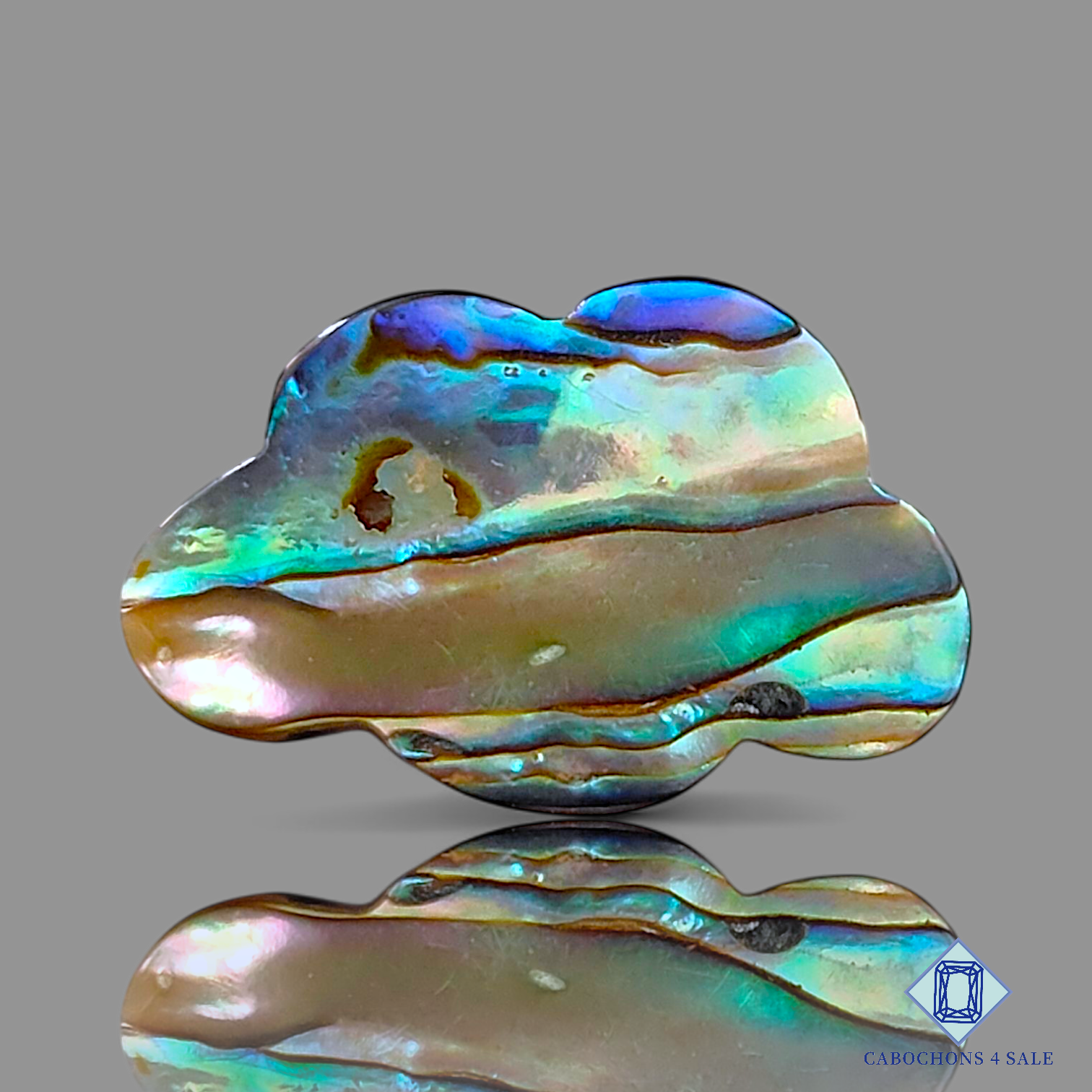 Abalone Shell Raw Crystal Gemstones | Unique Semi Precious Cabochons ...