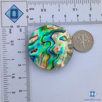 Abalone Shell