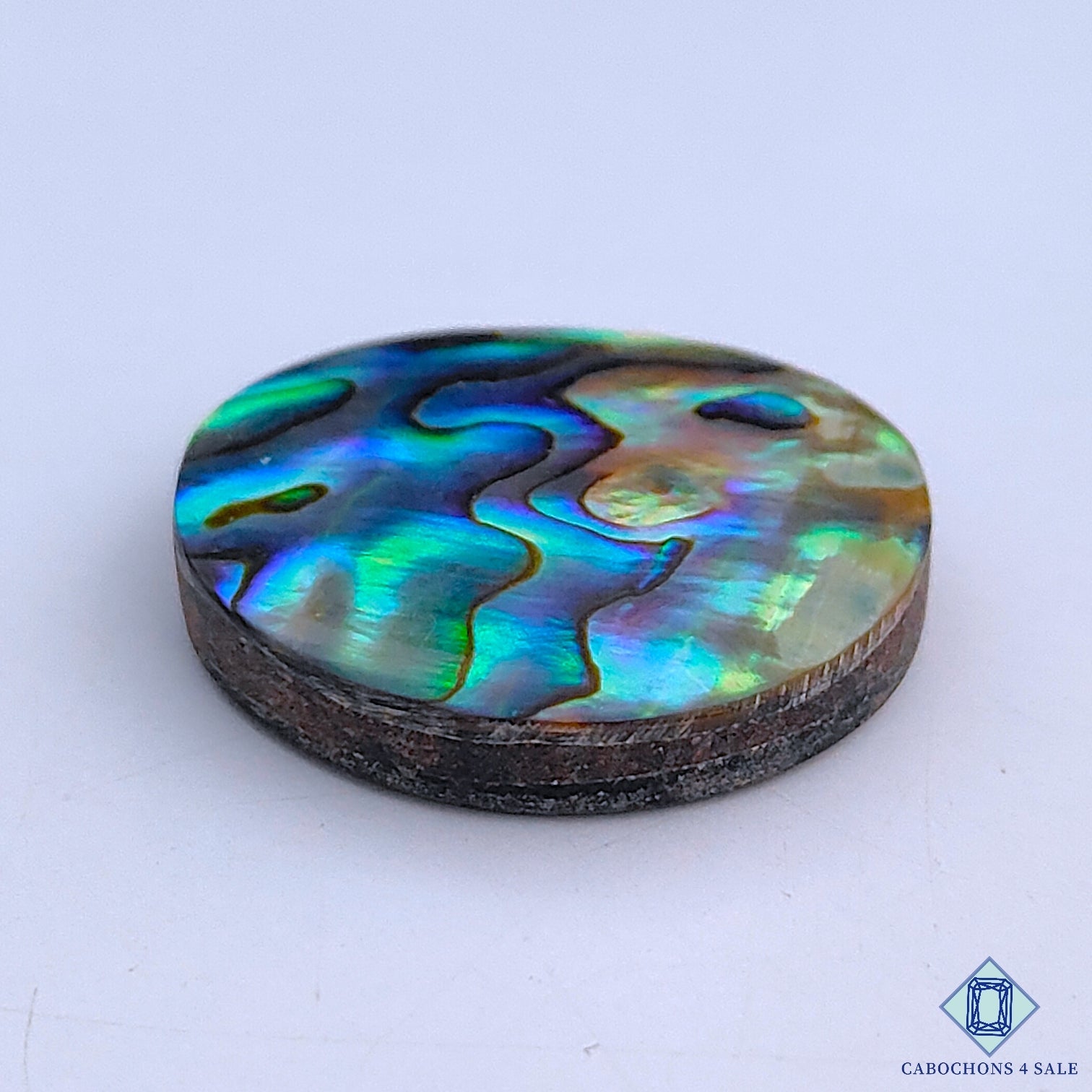 Abalone Shell
