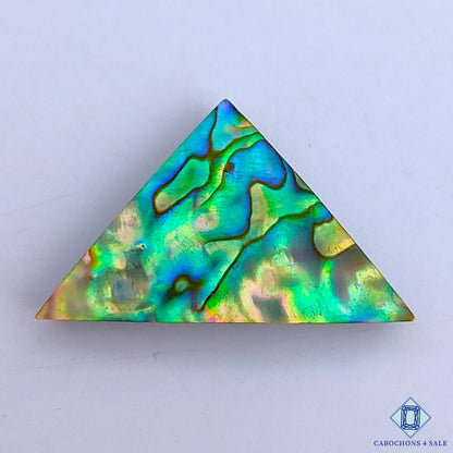 Abalone Shell