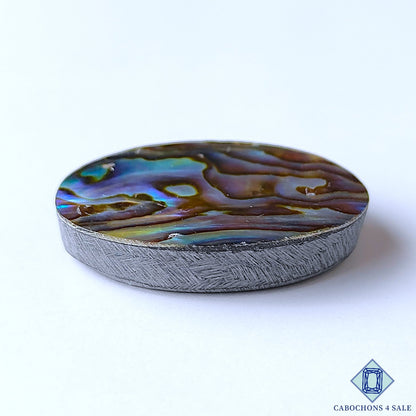 Abalone Shell