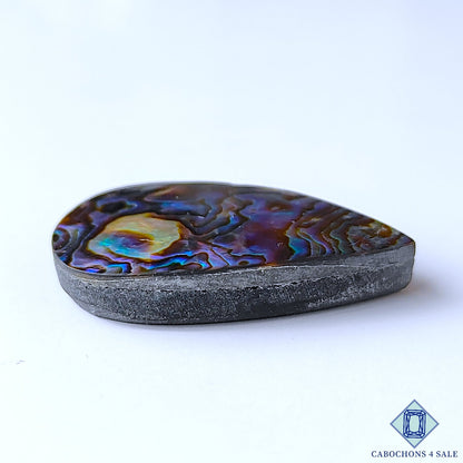 Abalone Shell