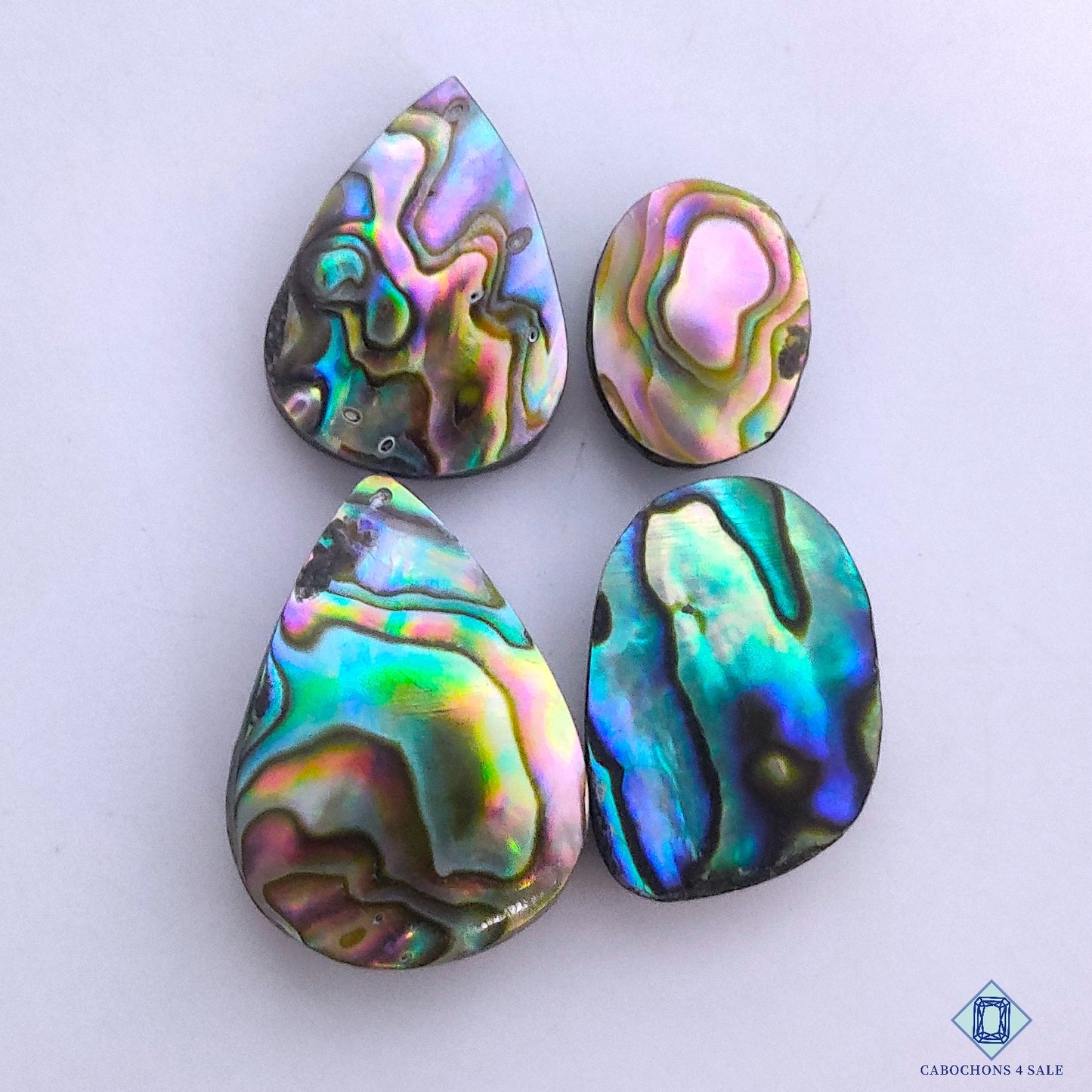 Abalone Shell