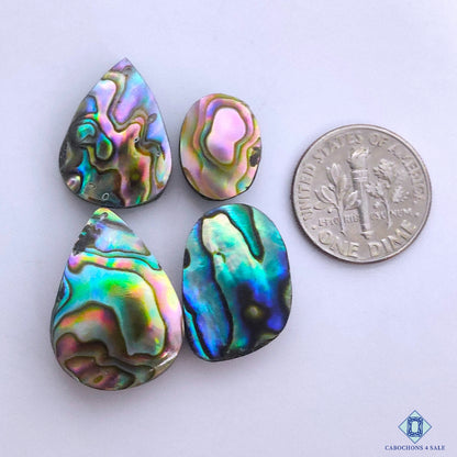 Abalone Shell