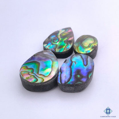 Abalone Shell
