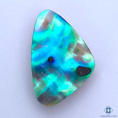 Abalone Shell
