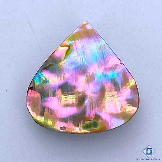 Abalone Shell