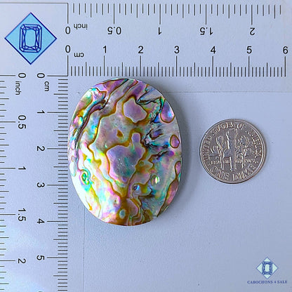 Natural Abalone Shell Gemstone  Oval Cabochons 40*31*7mm from New Zealand available for sale