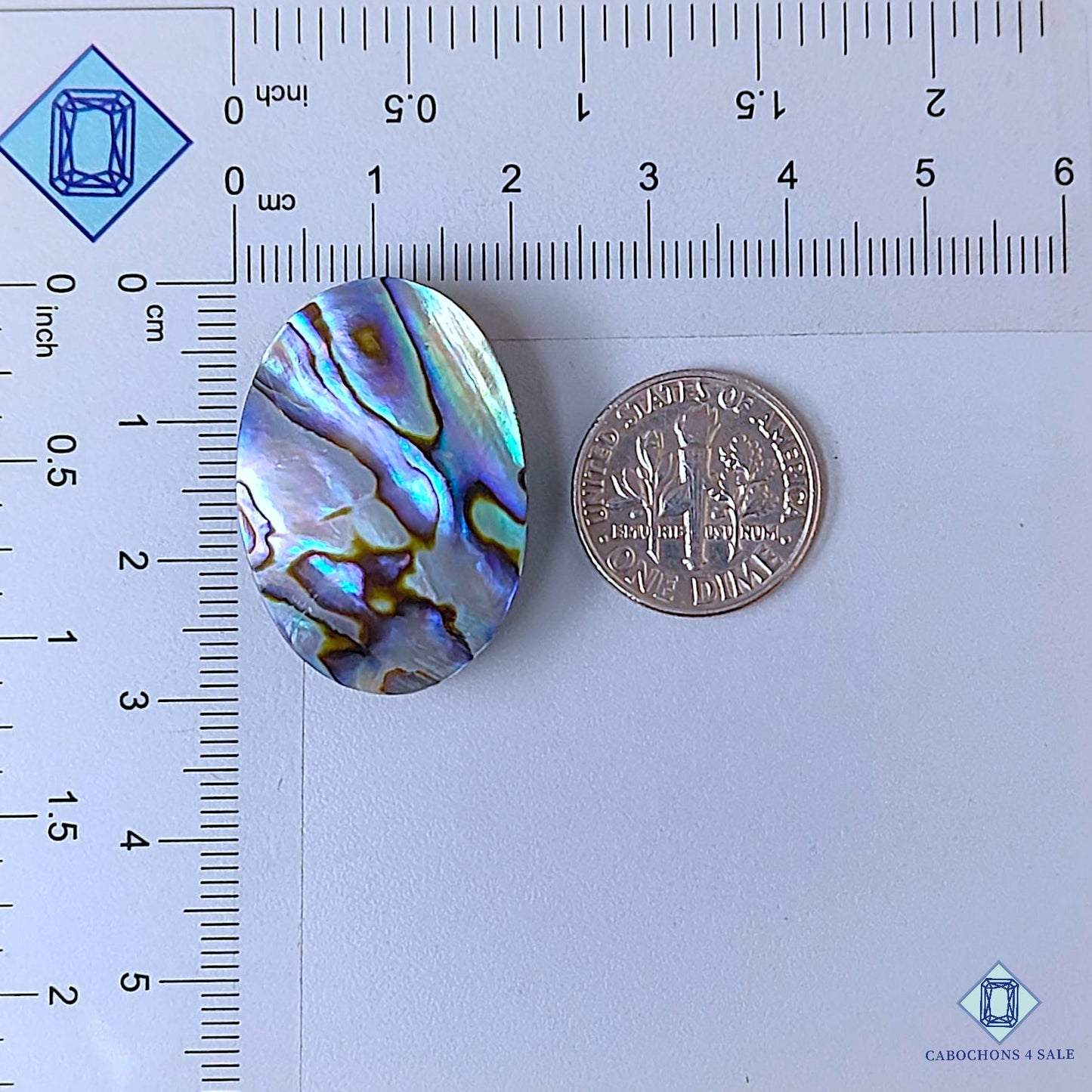 Natural Abalone Shell Gemstone  Oval Cabochons 29*20*7mm from New Zealand available for sale