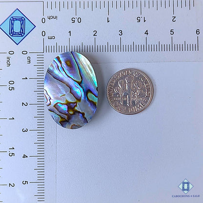 Natural Abalone Shell Gemstone  Oval Cabochons 29*20*7mm from New Zealand available for sale