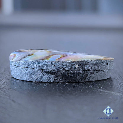 Natural Abalone Shell Gemstone  Oval Cabochons 29*20*7mm from New Zealand available for sale