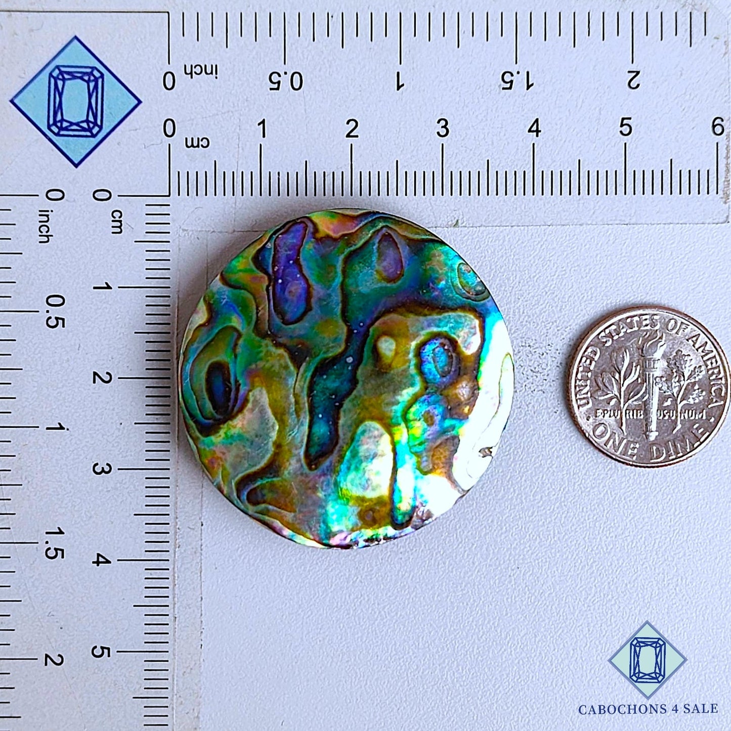 Natural Abalone Shell Gemstone  Round Cabochons 36*6mm From New Zealand available for sale