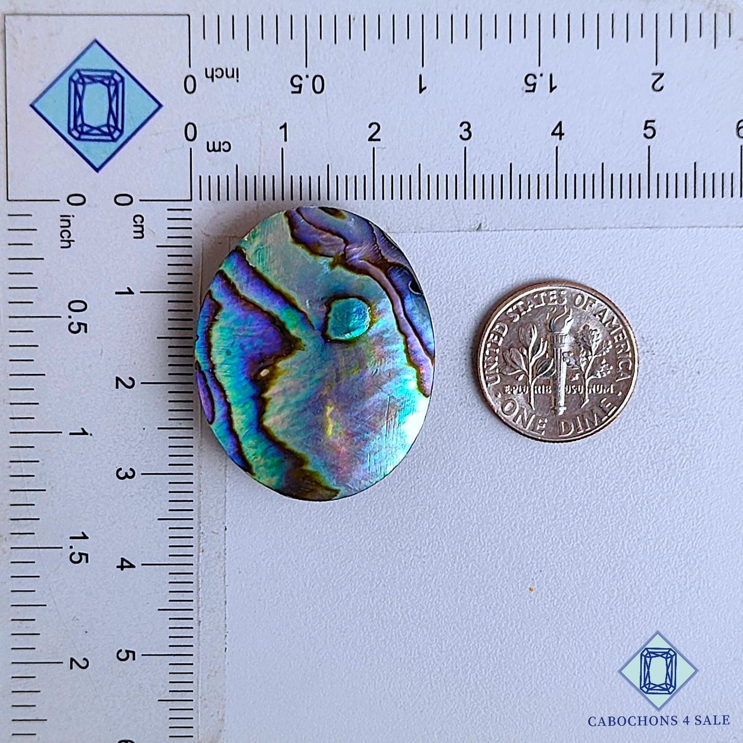 Natural Abalone Shell Gemstone  Oval Cabochons 31*25*6mm From New Zealand available for sale