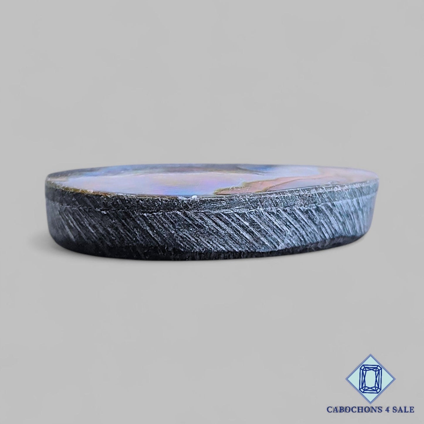 Natural Abalone Shell Gemstone  Oval Cabochons 31*25*6mm From New Zealand available for sale