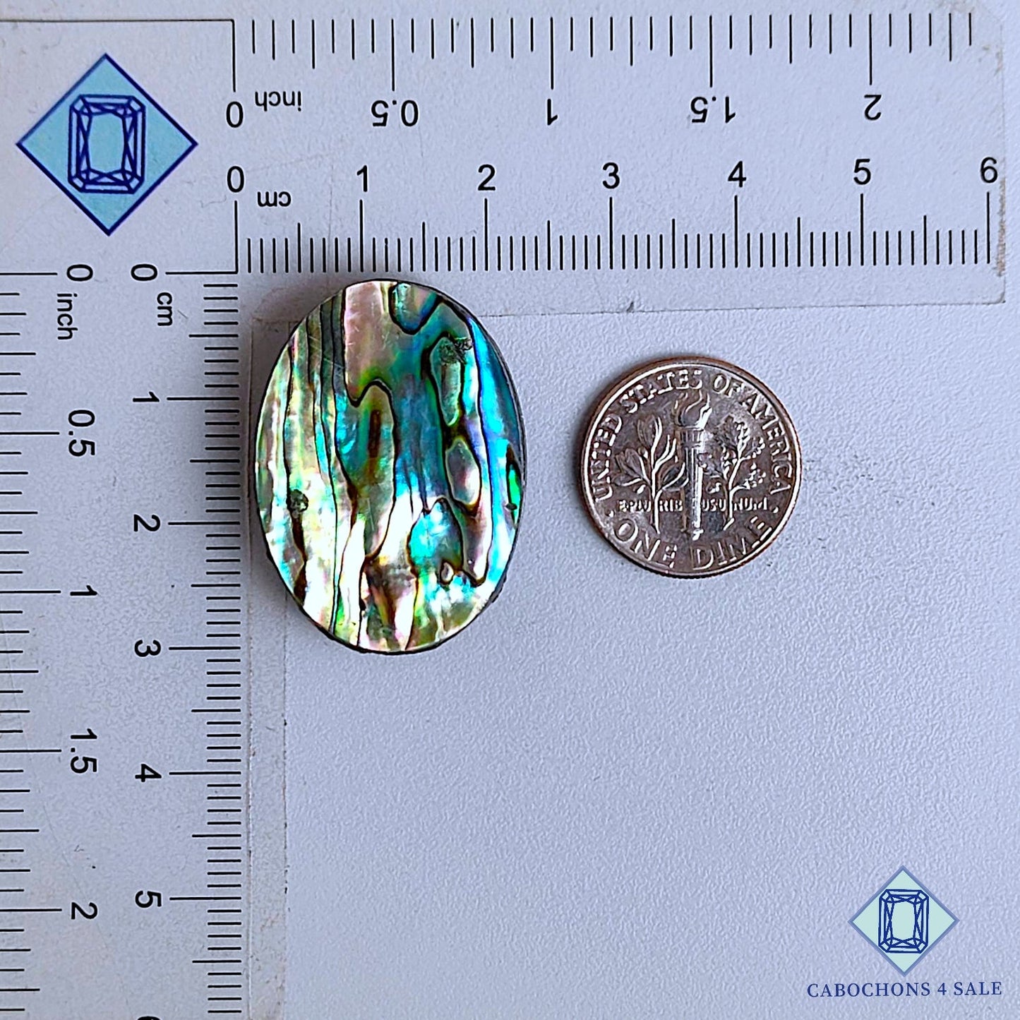 Natural Abalone Shell Gemstone  Oval Cabochons 29*21*6mm From New Zealand available for sale