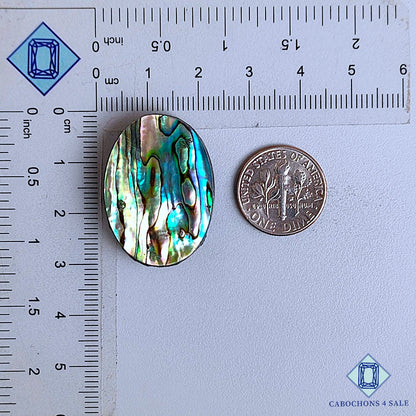Natural Abalone Shell Gemstone  Oval Cabochons 29*21*6mm From New Zealand available for sale