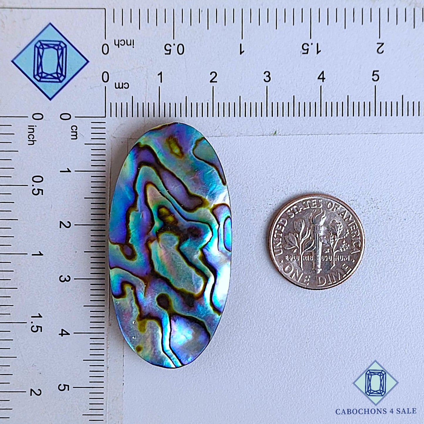 Natural Abalone Shell Gemstone  Oval Cabochons 44*22*5mm From New Zealand available for sale