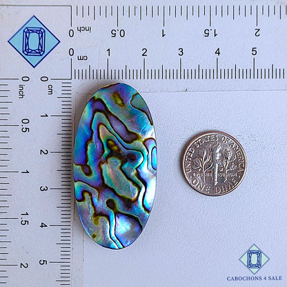 Natural Abalone Shell Gemstone  Oval Cabochons 44*22*5mm From New Zealand available for sale