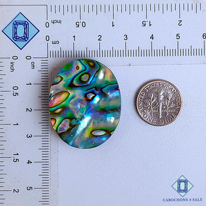 Natural Abalone Shell Gemstone  Oval Cabochons 33*27*7mm From New Zealand available for sale