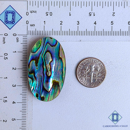 Cabujones ovalados de concha de abulón natural de 37 x 21 x 6 mm, de Nueva Zelanda, disponibles para la venta.