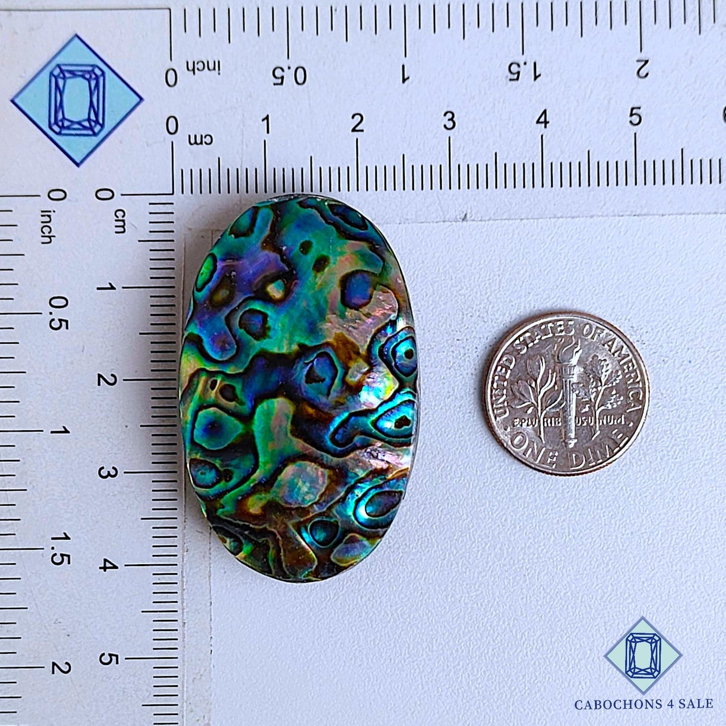 Cabujones ovalados de concha de abulón natural de 41 x 25 x 9 mm, de Nueva Zelanda, disponibles para la venta.