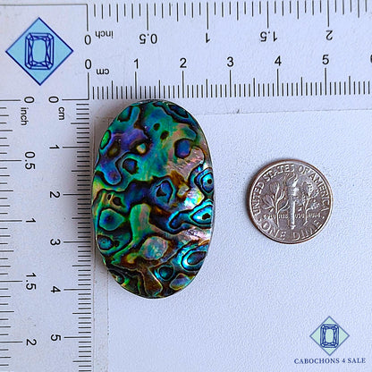 Cabujones ovalados de concha de abulón natural de 41 x 25 x 9 mm, de Nueva Zelanda, disponibles para la venta.