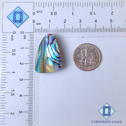 Abalone Shell Fancy Cabochons