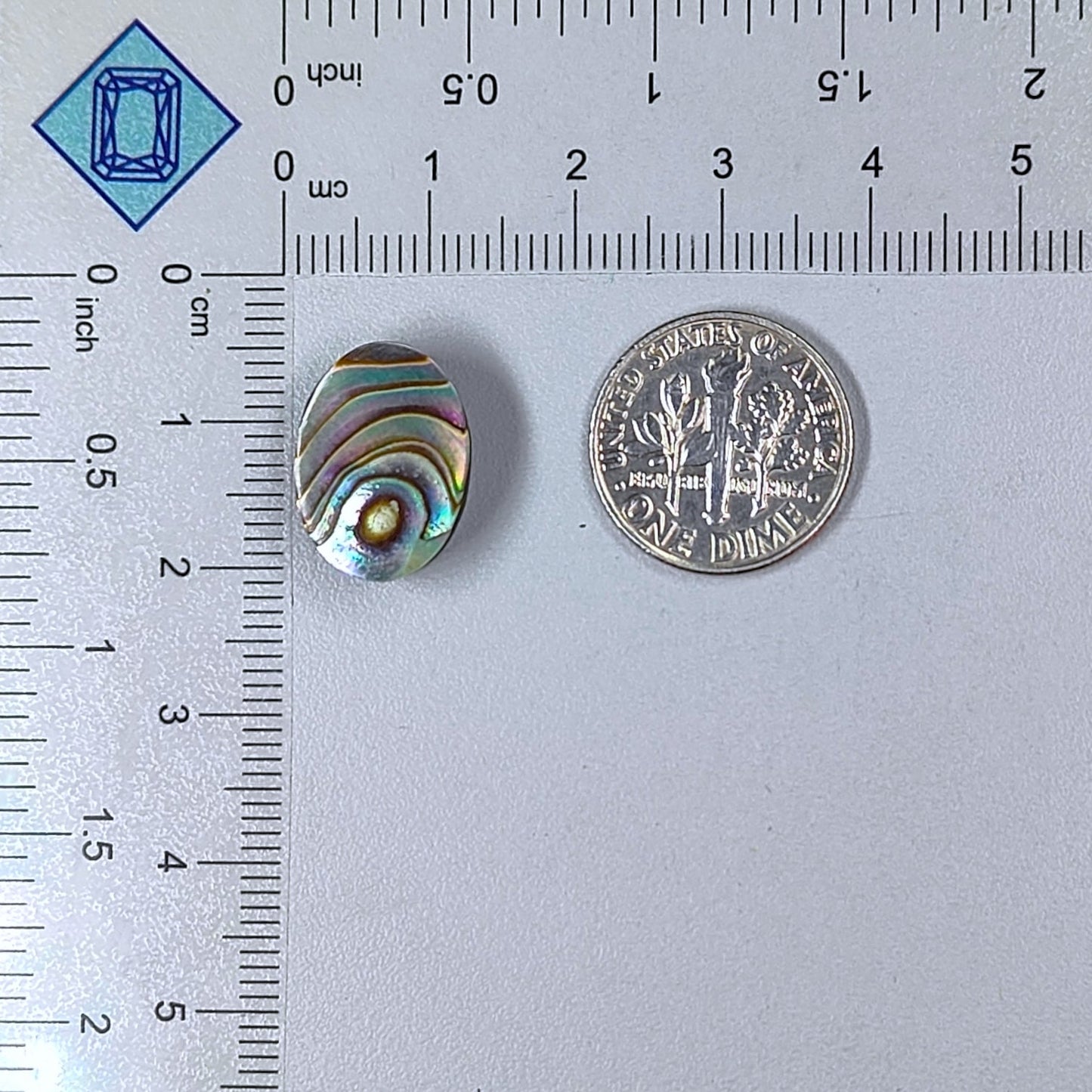 Abalone Shell Oval Cabochons