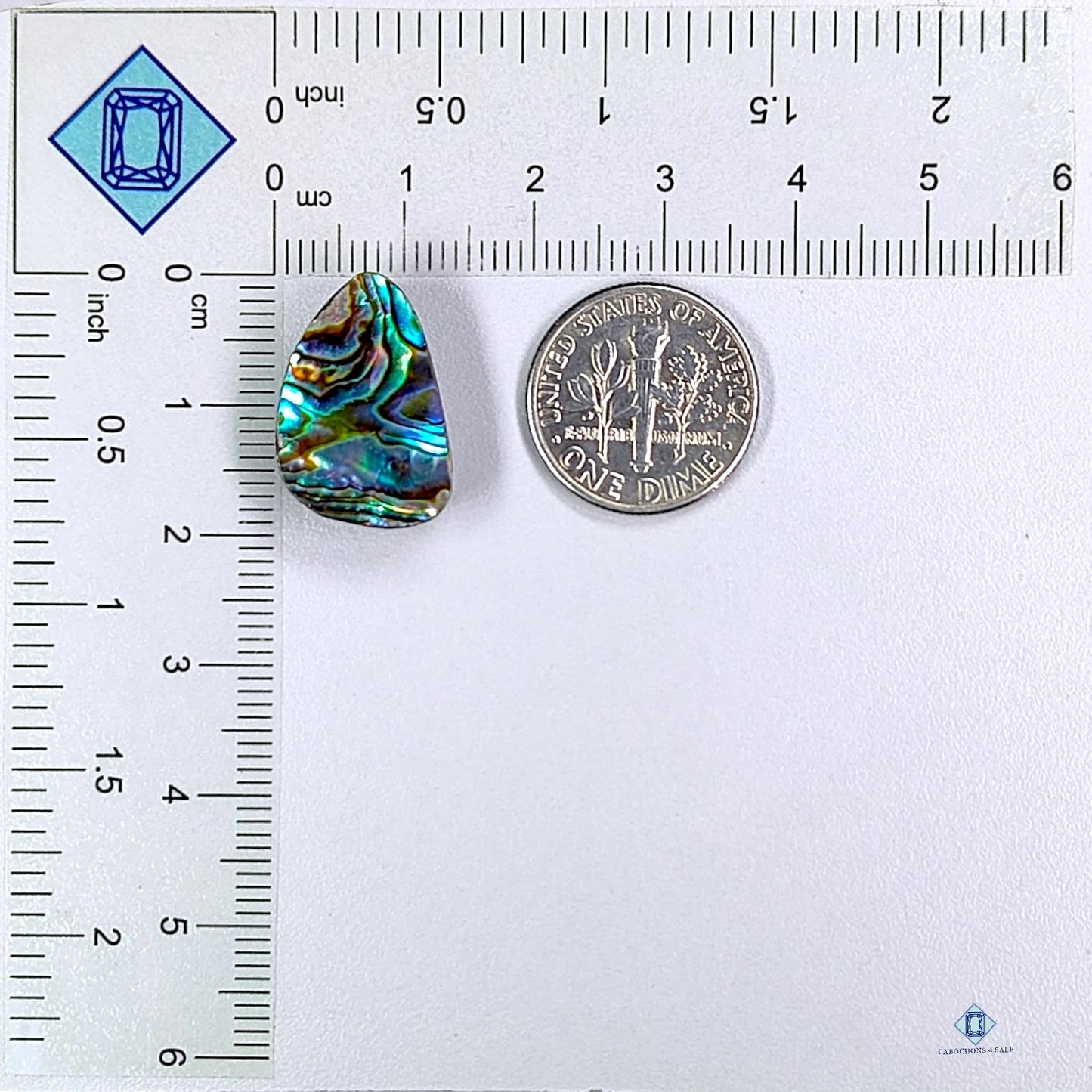 Abalone Shell Fancy Cabochons