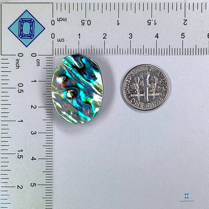 Abalone Shell Oval Cabochons