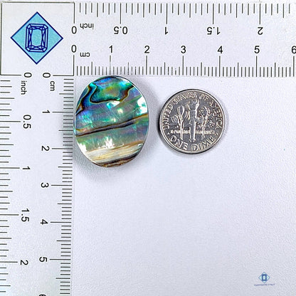 Abalone Shell Oval Cabochons