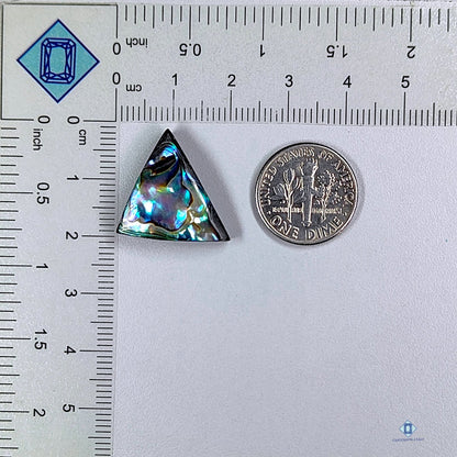 Abalone Shell Triangle Cabochons