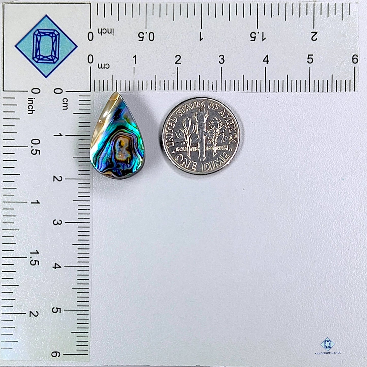 Abalone Shell Pear Cabochons