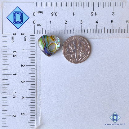 Abalone Shell + Crystal Quartz Doublets