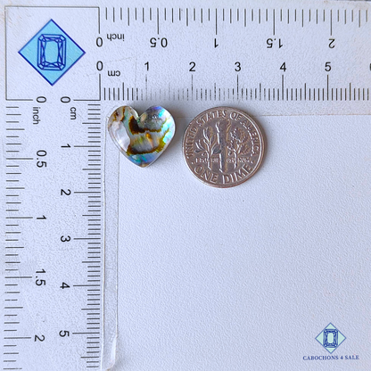 Abalone Shell + Crystal Quartz Doublets