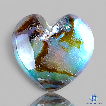 Abalone Shell + Crystal Quartz Doublets